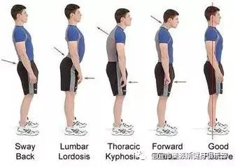 为什么篮球不同位置需要不同的训练重点_0